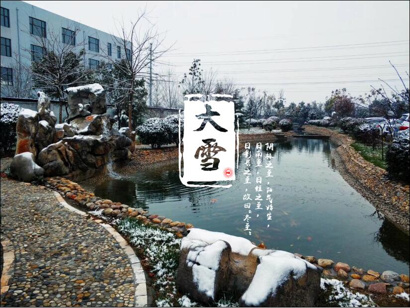 大雪已至，你那里“消白”了嗎？