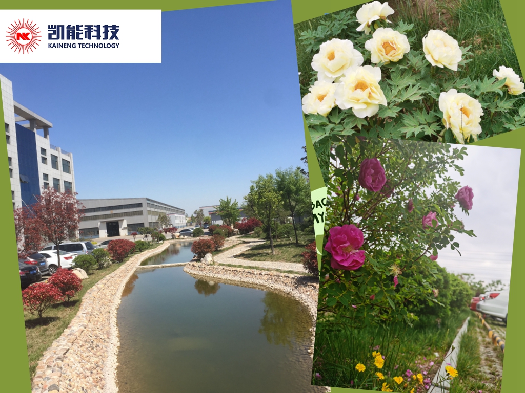 又是一年鳥語花香時，節(jié)能環(huán)保不松懈